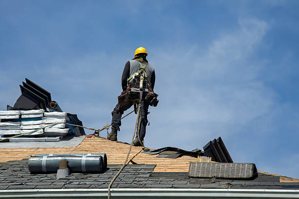 Professional Gutter Installation technician working in Woodville, OH